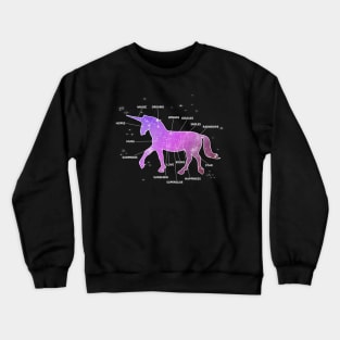 Magical Horse Unicorn Costume Gift Crewneck Sweatshirt